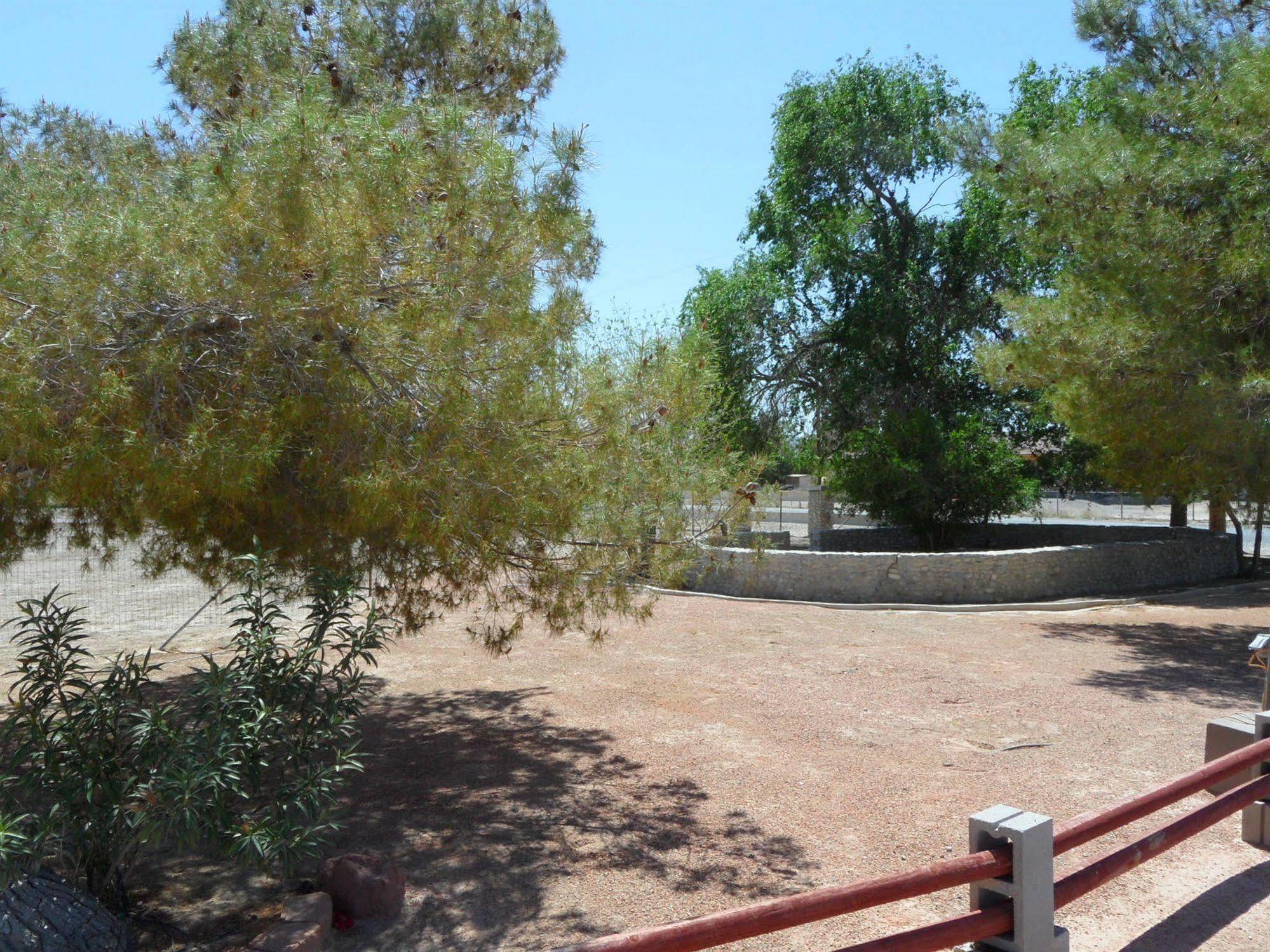 Pahrump Rv Park & Lodging Extérieur photo